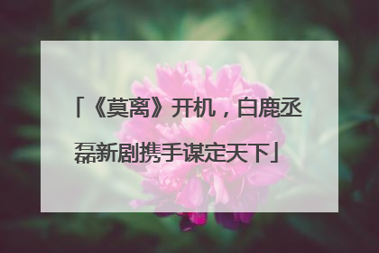 《莫离》开机，白鹿丞磊新剧携手谋定天下