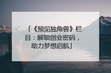 《预见独角兽》栏目：解锁创业密码，助力梦想启航