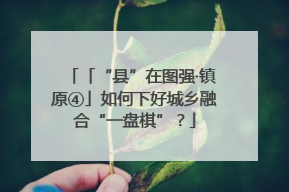 「“县”在图强·镇原④」如何下好城乡融合“一盘棋”？