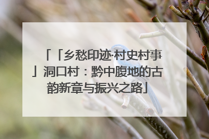 「乡愁印迹·村史村事」洞口村：黔中腹地的古韵新章与振兴之路