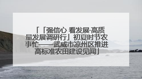 「强信心 看发展·高质量发展调研行」初夏时节农事忙——武威市凉州区推进高标准农田建设见闻