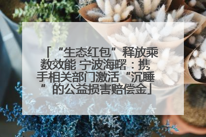 “生态红包”释放乘数效能 宁波海曙：携手相关部门激活“沉睡”的公益损害赔偿金
