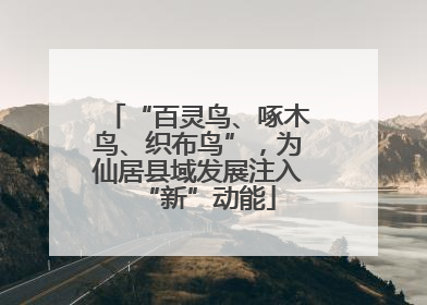 “百灵鸟、啄木鸟、织布鸟”，为仙居县域发展注入“新”动能