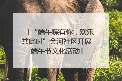 “端午粽有你，欢乐共此时”金河社区开展端午节文化活动