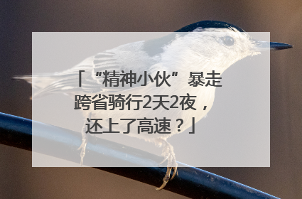 “精神小伙”暴走跨省骑行2天2夜，还上了高速？