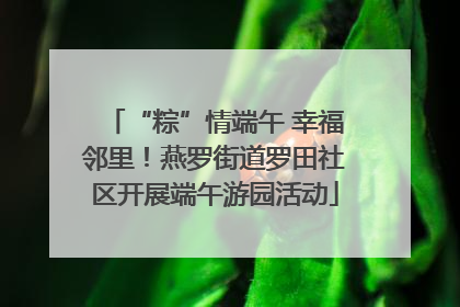 “粽”情端午 幸福邻里！燕罗街道罗田社区开展端午游园活动