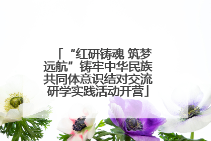 “红研铸魂 筑梦远航”铸牢中华民族共同体意识结对交流研学实践活动开营