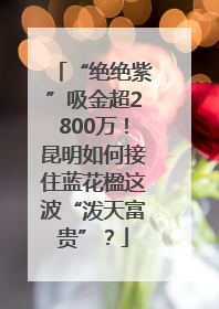 “绝绝紫”吸金超2800万！昆明如何接住蓝花楹这波“泼天富贵”？