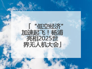 “低空经济”加速起飞！杨浦亮相2025世界无人机大会