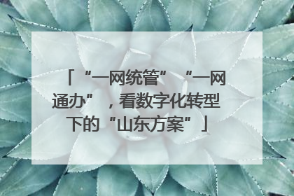 “一网统管”“一网通办”，看数字化转型下的“山东方案”