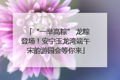 “一举高粽” 龙粽登场！安宁玉龙湾端午宋韵游园会等你来
