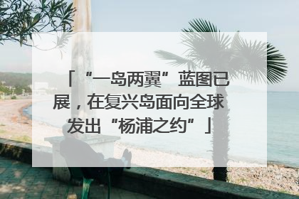 “一岛两翼”蓝图已展，在复兴岛面向全球发出“杨浦之约”