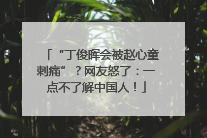 “丁俊晖会被赵心童刺痛”？网友怒了：一点不了解中国人！
