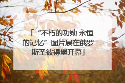 “不朽的功勋 永恒的记忆”图片展在俄罗斯圣彼得堡开幕