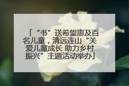 “书”送希望惠及百名儿童，清远连山“关爱儿童成长 助力乡村振兴”主题活动举办