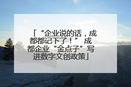 “企业说的话，成都都记下了！” 成都企业“金点子”写进数字文创政策