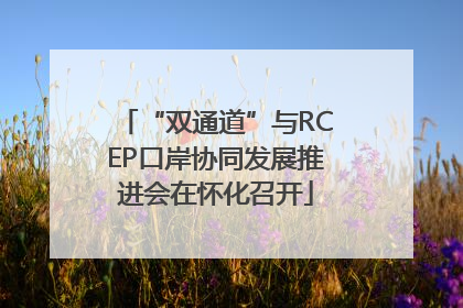 “双通道”与RCEP口岸协同发展推进会在怀化召开