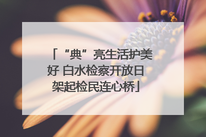 “典”亮生活护美好 白水检察开放日架起检民连心桥