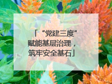 “党建三度”赋能基层治理，筑牢安全基石