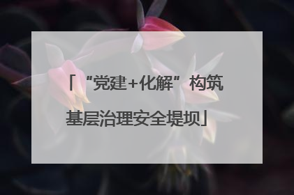“党建+化解”构筑基层治理安全堤坝