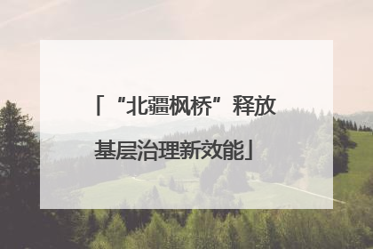 “北疆枫桥”释放基层治理新效能