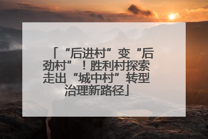 “后进村”变“后劲村”！胜利村探索走出“城中村”转型治理新路径