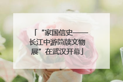 “家国信史——长江中游简牍文物展”在武汉开幕