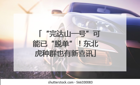 “完达山一号”可能已“脱单”！东北虎种群也有新喜讯
