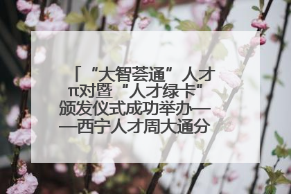 “大智荟通”人才π对暨“人才绿卡”颁发仪式成功举办——西宁人才周大通分会场亮点纷呈