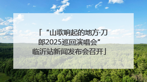 “山歌响起的地方·刀郎2025巡回演唱会”临沂站新闻发布会召开