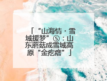 “山海情・雪域援梦”⑤：山东蘑菇成雪域高原“金疙瘩”