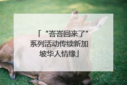 “峇峇回来了”系列活动传续新加坡华人情缘