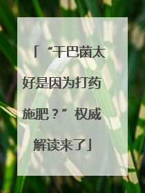 “干巴菌太好是因为打药施肥？”权威解读来了