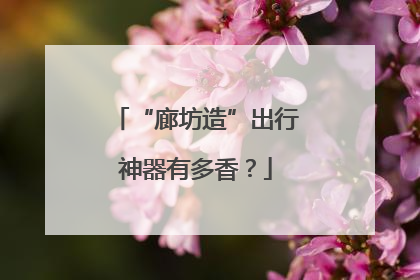 “廊坊造”出行神器有多香？