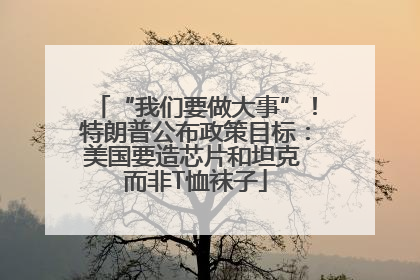 “我们要做大事”！特朗普公布政策目标：美国要造芯片和坦克 而非T恤袜子