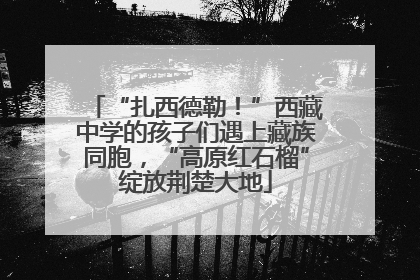 “扎西德勒！”西藏中学的孩子们遇上藏族同胞，“高原红石榴”绽放荆楚大地