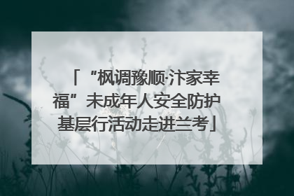 “枫调豫顺·汴家幸福”未成年人安全防护基层行活动走进兰考