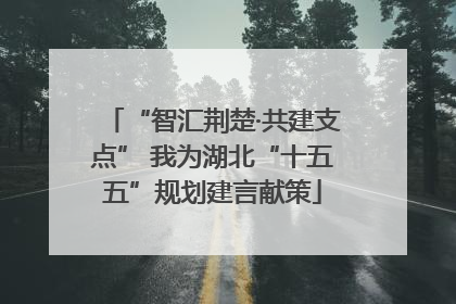 “智汇荆楚·共建支点” 我为湖北“十五五”规划建言献策