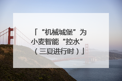 “机械城堡”为小麦智能“控水”（三夏进行时）