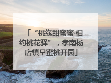 “桃缘甜蜜蜜·相约桃花驿”，孝南杨店镇早蜜桃开园