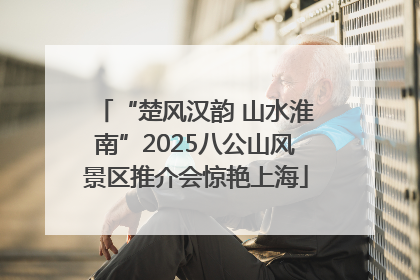 “楚风汉韵 山水淮南”2025八公山风景区推介会惊艳上海
