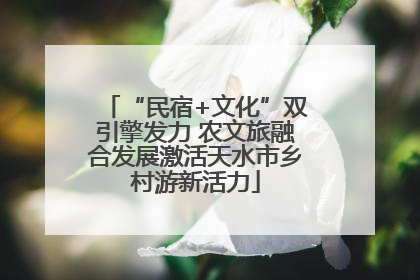 “民宿+文化”双引擎发力 农文旅融合发展激活天水市乡村游新活力