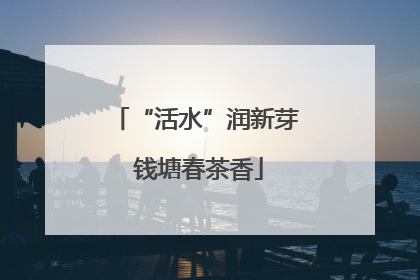 “活水”润新芽 钱塘春茶香