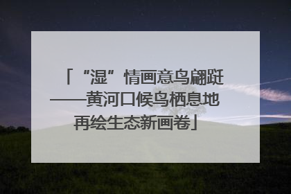 “湿”情画意鸟翩跹——黄河口候鸟栖息地再绘生态新画卷