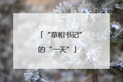 “草帽书记”的“一天”