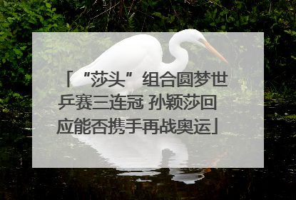 “莎头”组合圆梦世乒赛三连冠 孙颖莎回应能否携手再战奥运