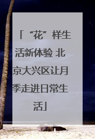 “花”样生活新体验 北京大兴区让月季走进日常生活