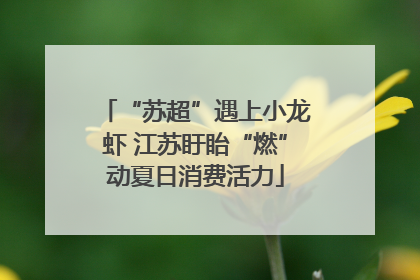 “苏超”遇上小龙虾 江苏盱眙“燃”动夏日消费活力