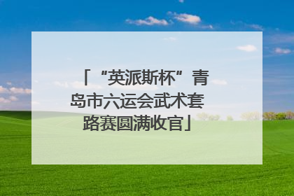 “英派斯杯”青岛市六运会武术套路赛圆满收官