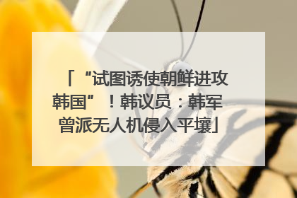 “试图诱使朝鲜进攻韩国”！韩议员：韩军曾派无人机侵入平壤